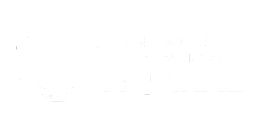 Portal do Cidadão